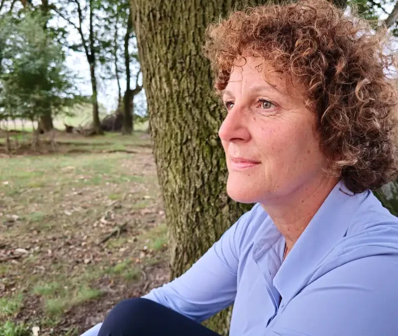 Reflectie en vooruitkijken